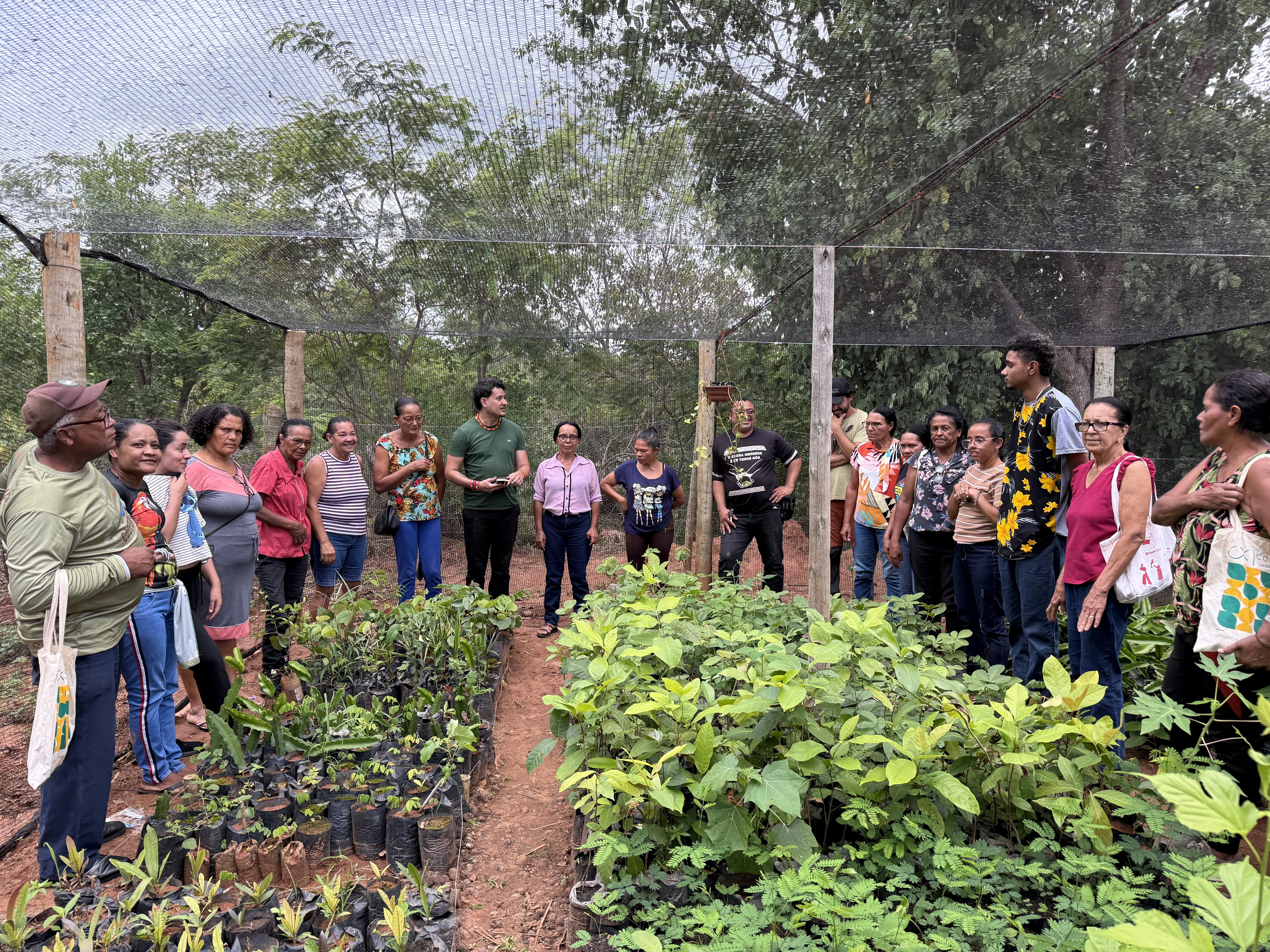 Grupo reunido em viveiro com mudas nativas