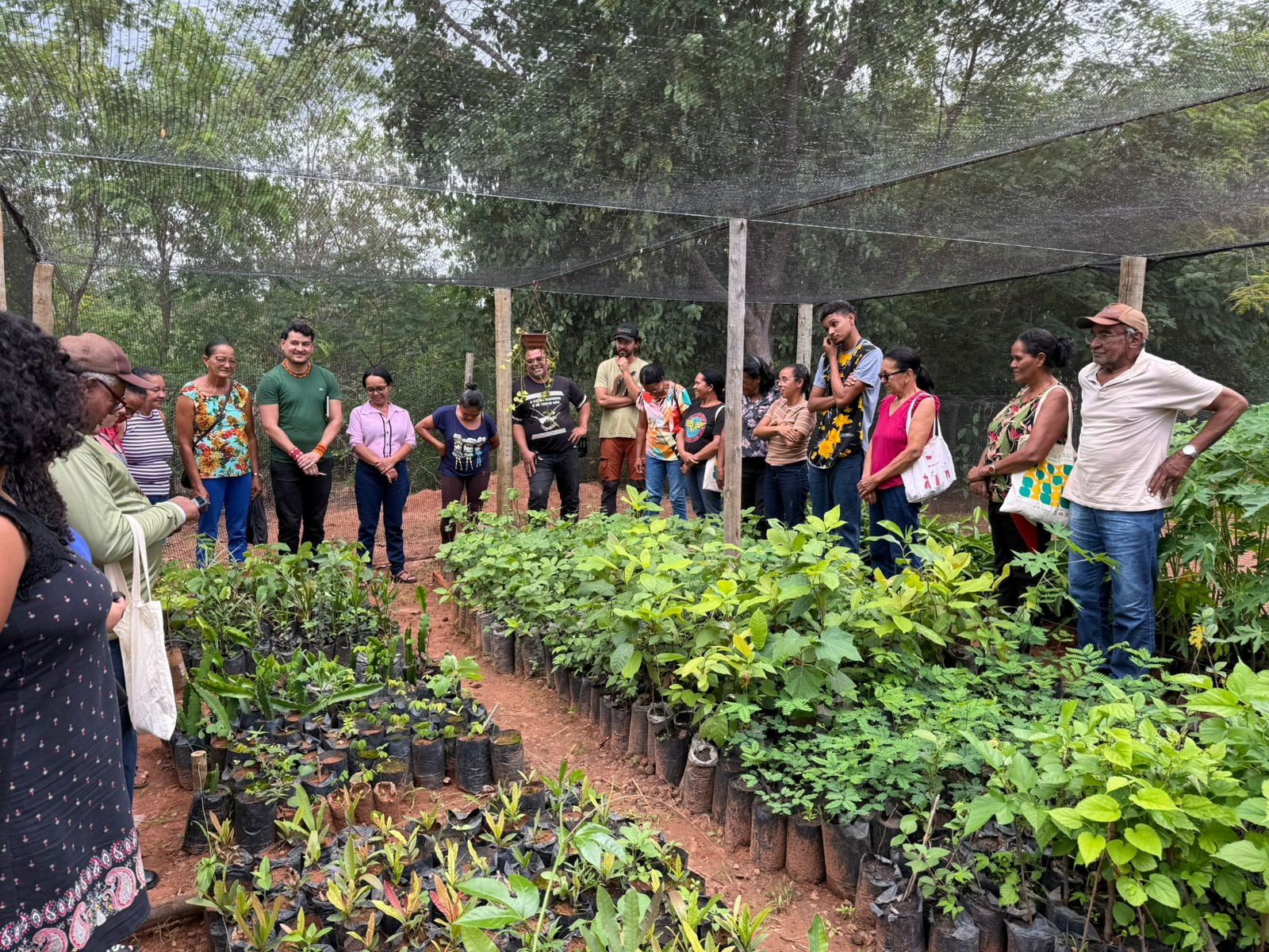 Restauração Ecológica e Investimento de Impacto: A Jornada do Instituto New Era pelo Cerrado